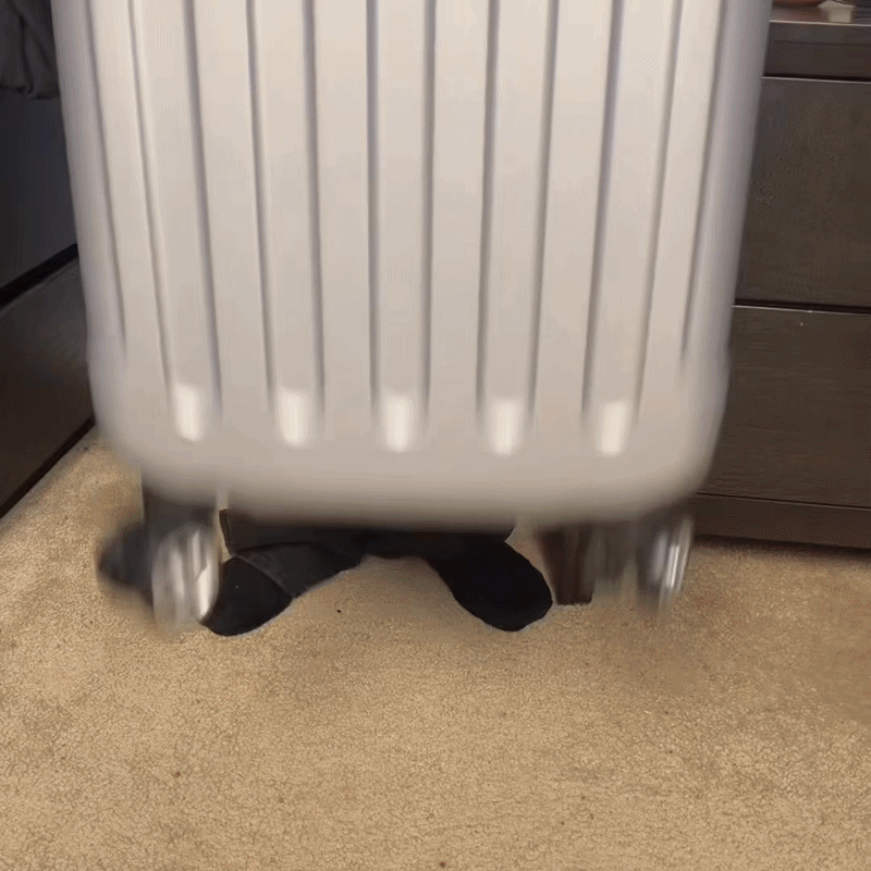 Laptop & Shoe Compartment